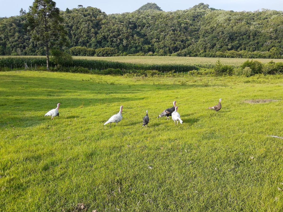 Willa Fazenda Tamandua Casa De Campo - Cabana Coragem Rio Rufino Zewnętrze zdjęcie